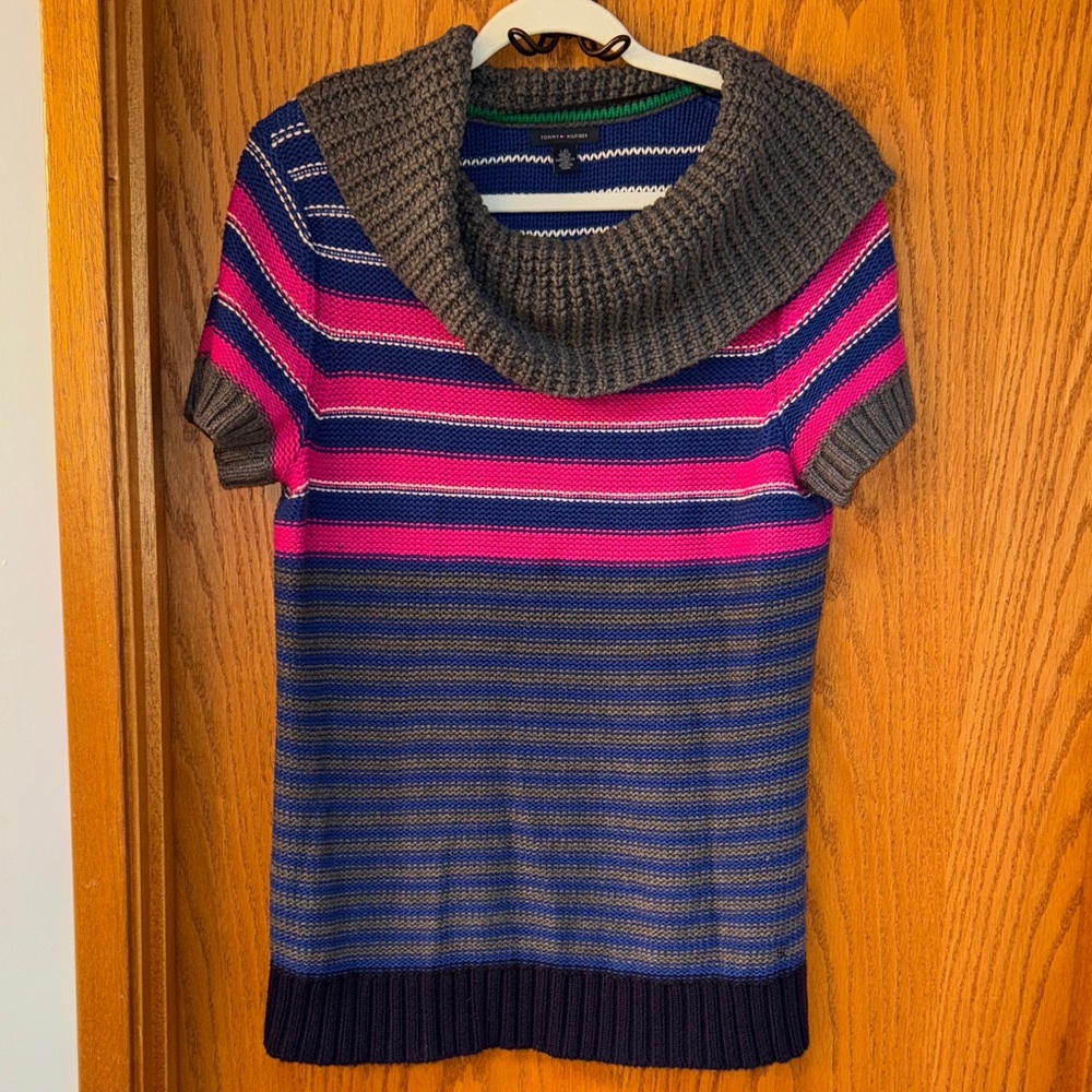 Tommy Hilfiger Blue and Pink Striped Turtleneck Sweater